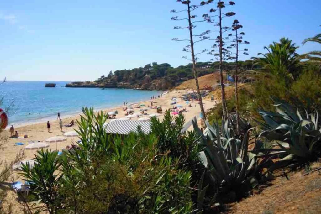 Vacations Home Αλμπουφέιρα Εξωτερικό φωτογραφία